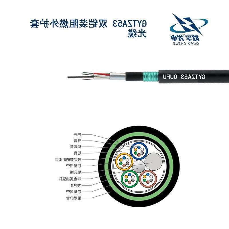 重庆GYTZA53光缆